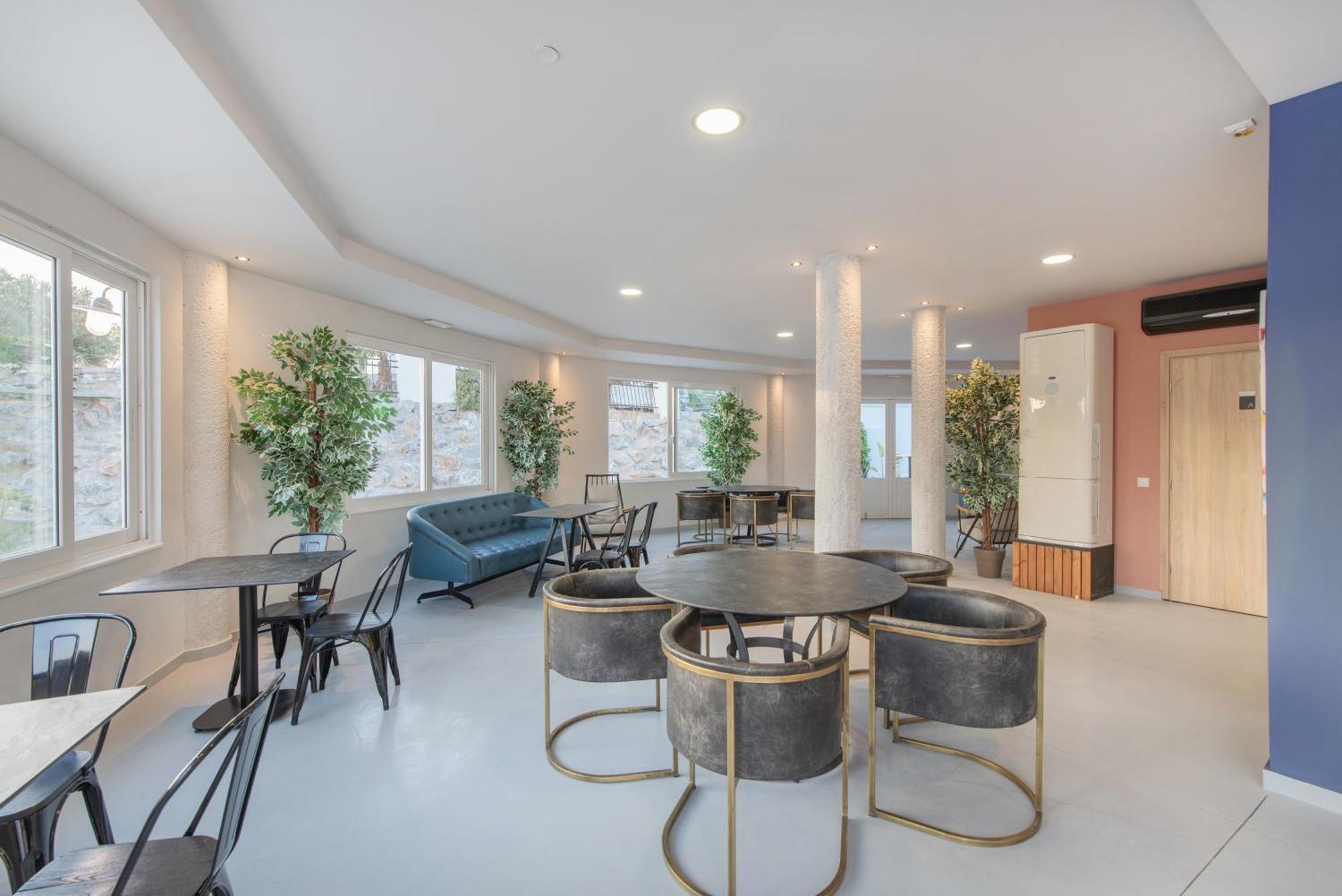 The Palms Concept Hotel Adults Only 16 Plus 팔리라키 외부 사진